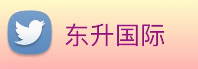 东升国际 logo